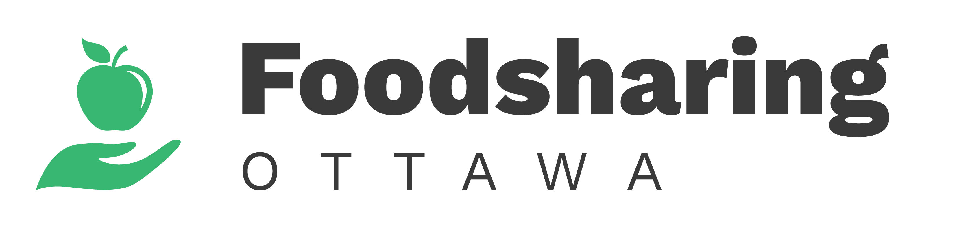 FSO Logo